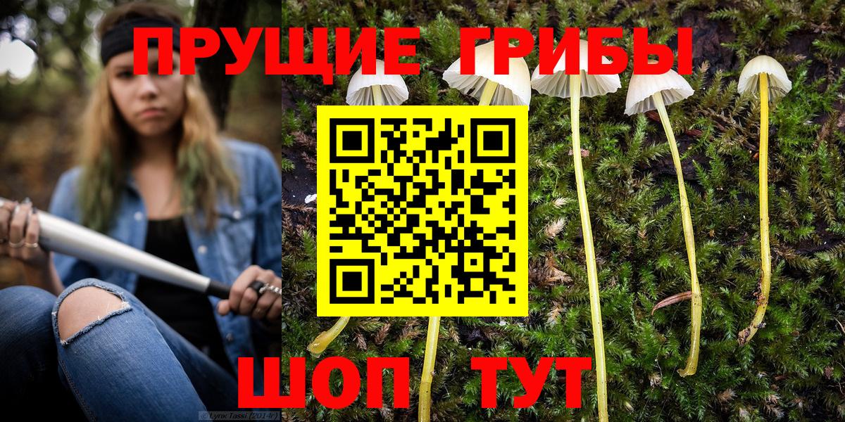Камышин  Галлюциногенные грибы Magic Shrooms  Вход с VPN 