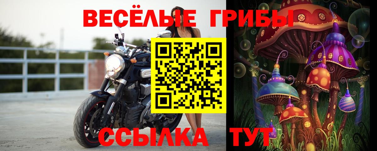 Псилоцибиновые грибы MAGIC MUSHROOMS Камышин